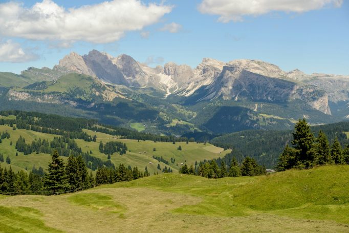 Natur steht für Besinnlichkeit und Ruhe